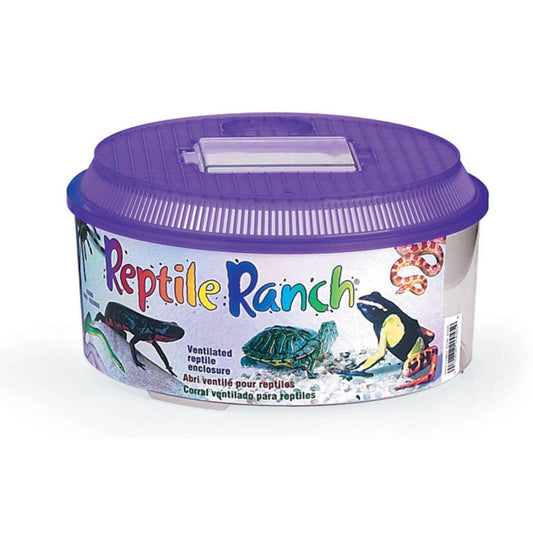 Lee's Aquarium & Pet Products Round Reptile Ranch Purple, Clear, 1ea/10.37 In X 5.5 in.