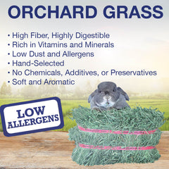 Grandpa's Best Orchard Grass Bale, 10 lbs