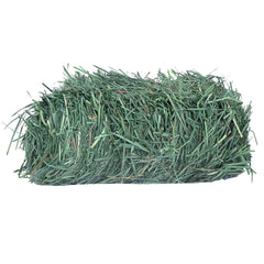 Grandpa's Best Orchard Grass Bale, 10 lbs