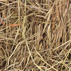 Grandpa's Best Timothy Loose Boxed Hay, 20 lbs