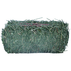 Grandpa's Best Alfalfa Hay Bale, 5 lbs
