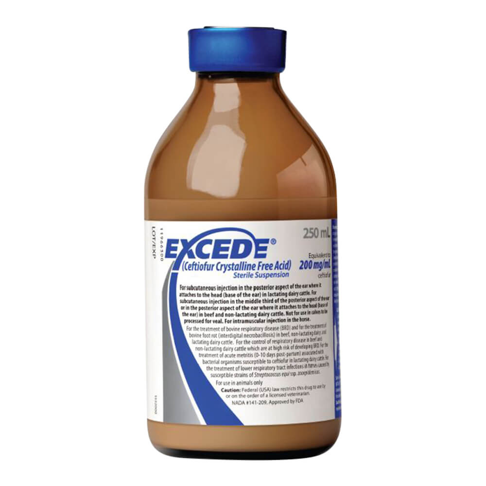 Rx Excede Sterile Suspension 250ml
