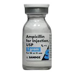 Rx Ampicillin  1 gm