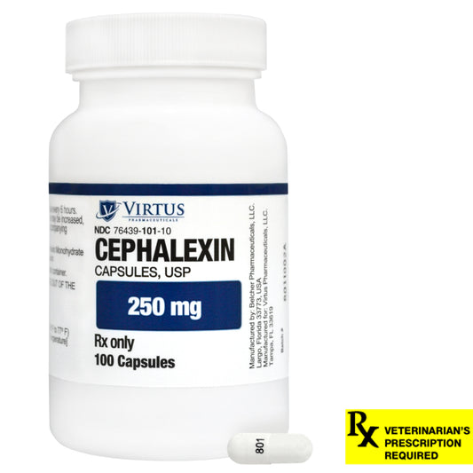 Nobivac Feline 1-HCPCh+FeLV Cat Vaccine