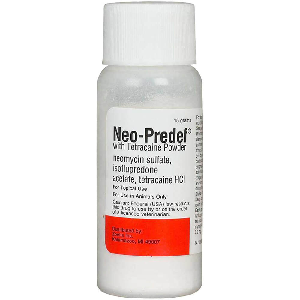 Rx Neo-Predef Powder x 15gm bottle