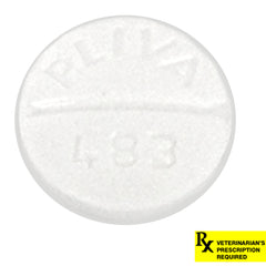 Rx Theophylline ER 100mg x 1 Tablet