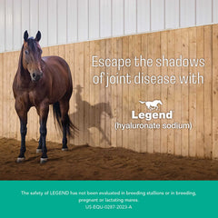محلول حقن Rx Legend، 10 ملجم/مل × 4 مل