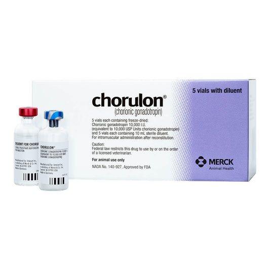 Rx Chorulon HCG 10,000IU Injection x 10ml Bottle
