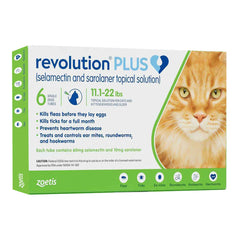 Rx Revolution Plus Feline 5.6-11lbs single