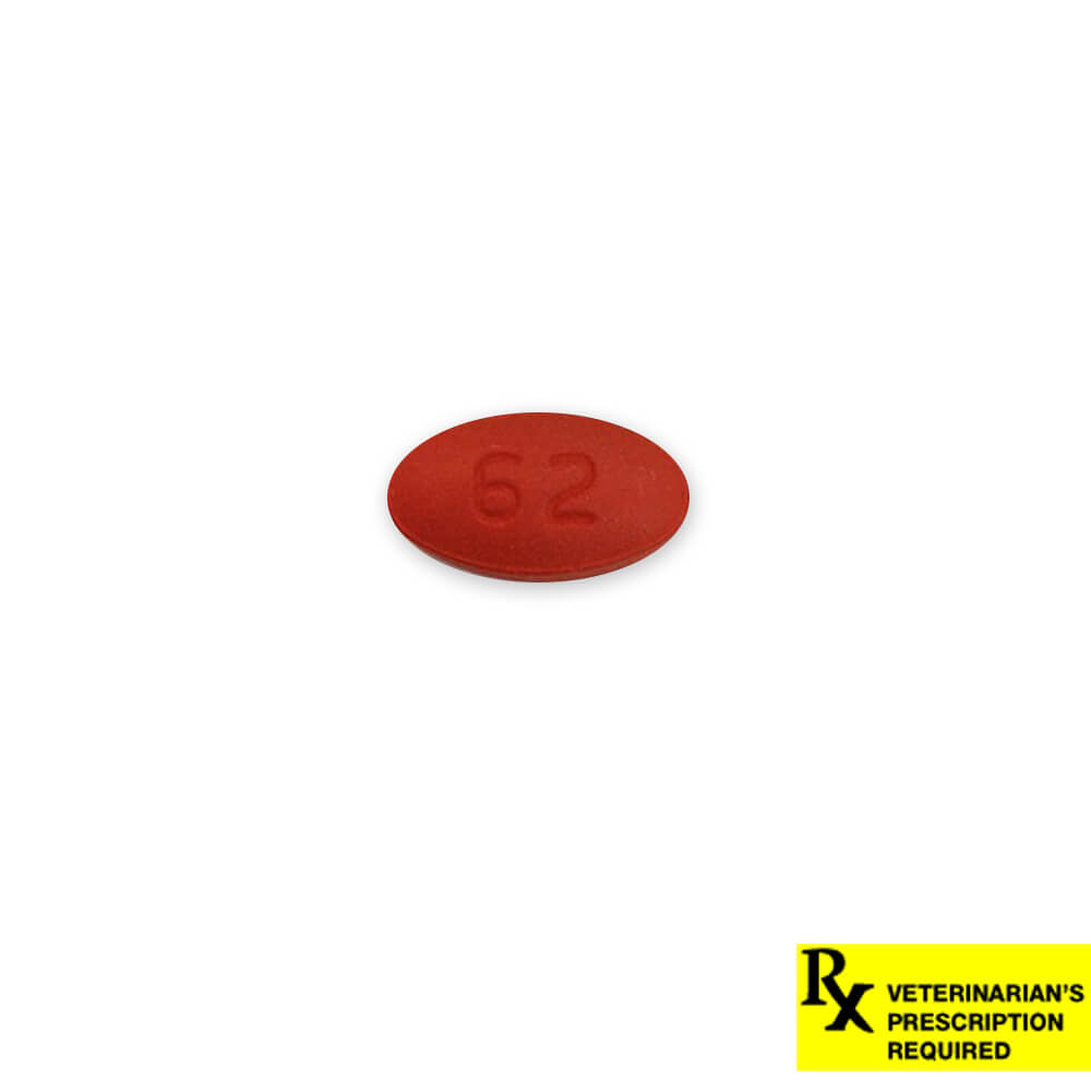 Rx Cefpodoxime 200mg x 1 tablet