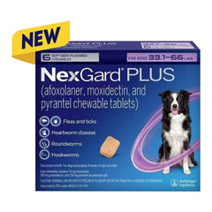 Rx Nexgard Plus، 33.1-66 رطلاً، عبوة من 6 قطع