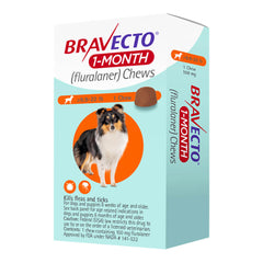 Rx Bravecto 1 month 9.9-22lbs x 1 tablet