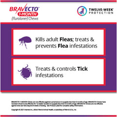 Rx Bravecto 1 month 9.9-22lbs x 1 tablet