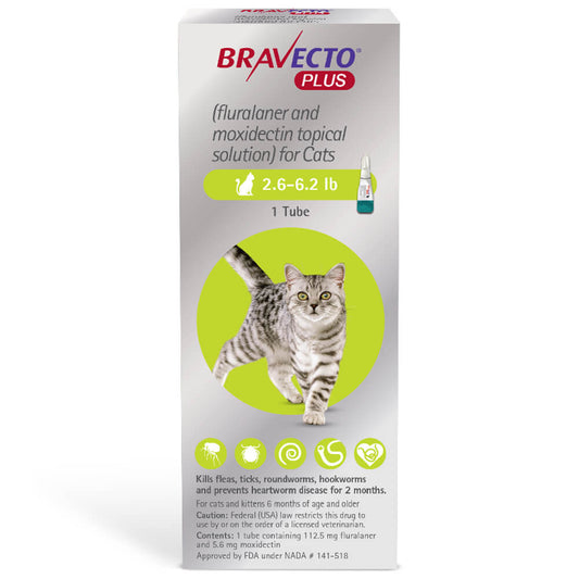 Rx Bravecto Plus Topical Cat 2.6-6.2lbs x 1 tube