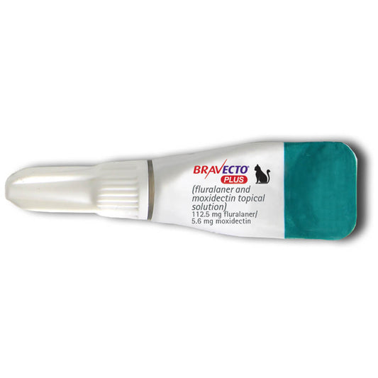 Rx Bravecto Plus Topical Cat 2.6-6.2lbs x 1 tube