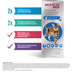 Rx Bravecto Plus Topical Cat 6.2-13.8lbs x 1 tube