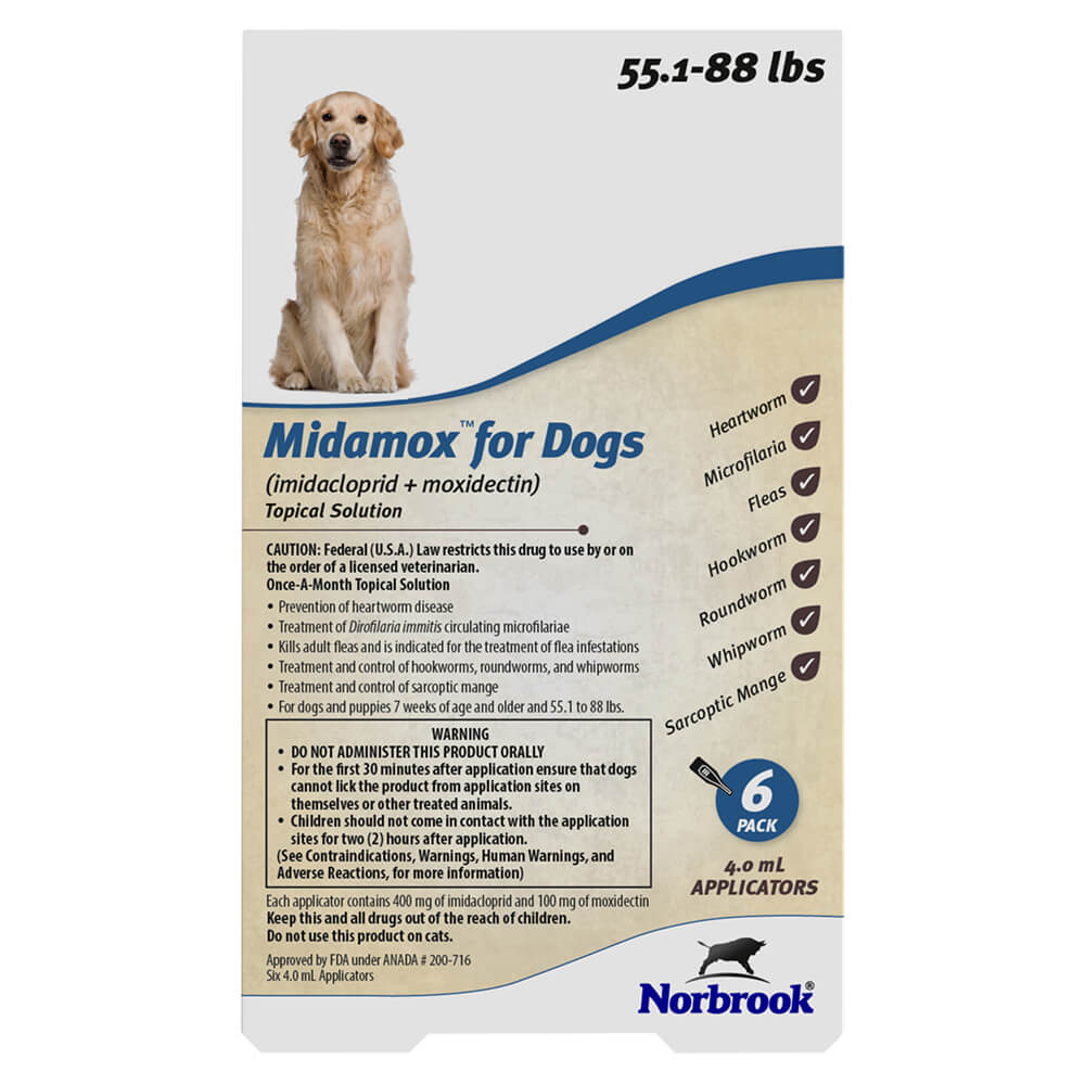 Rx Midamox Large Dog