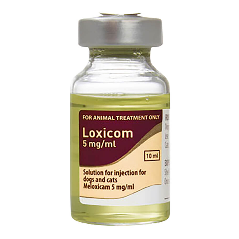 Rx Loxicom Injectable 5 mg x 10 ml