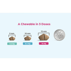 Rx Apoquel Chewable 5.4mg, Single Chew