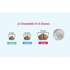 Rx Apoquel Chewable 16mg, 60ct
