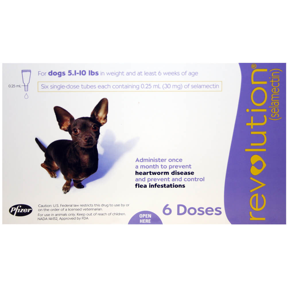 Rx Revolution canine 5.1-10lbs x 6 month