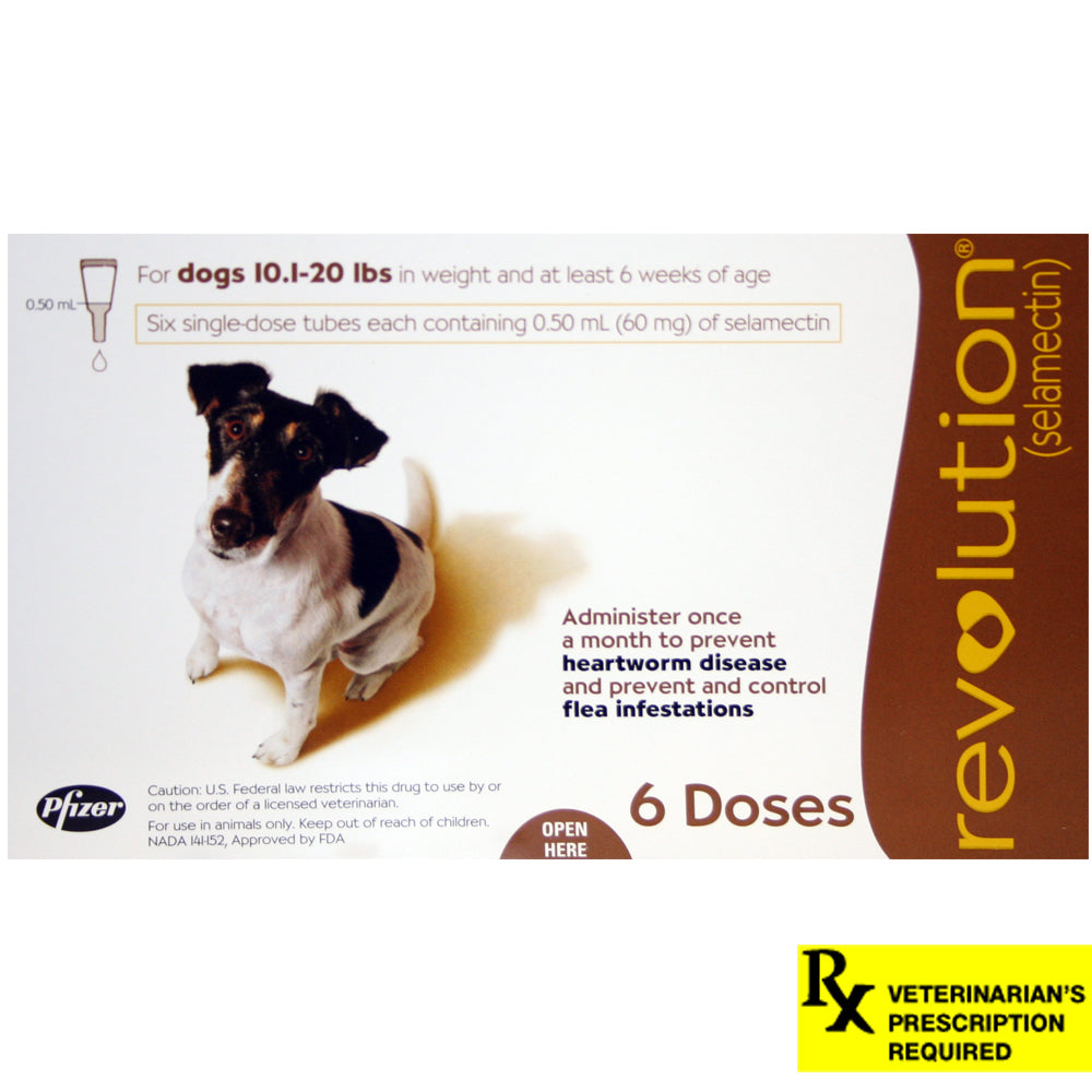 Rx Revolution canine 10.1-20lbs x 6 month