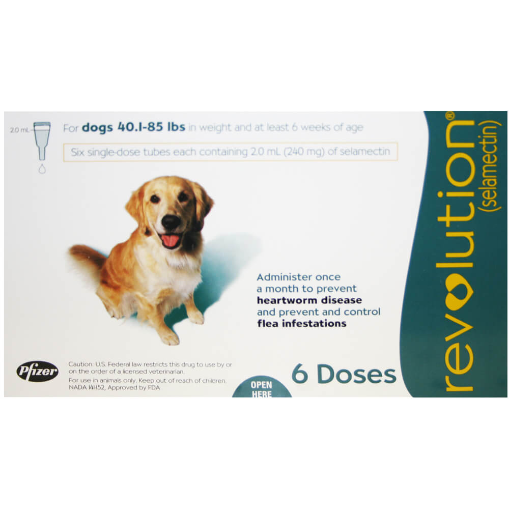 Rx Revolution canine 40.1-85lbs x 6 months