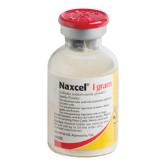Rx Naxcel Sterile Powder 1 gram