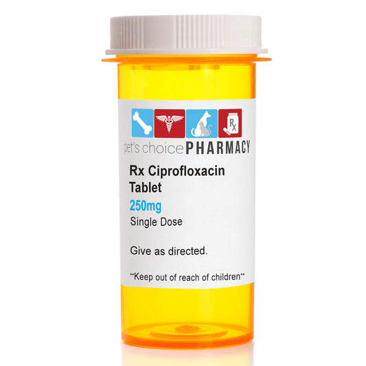 Rx Ciprofloxacin 250mg x Single Tablet