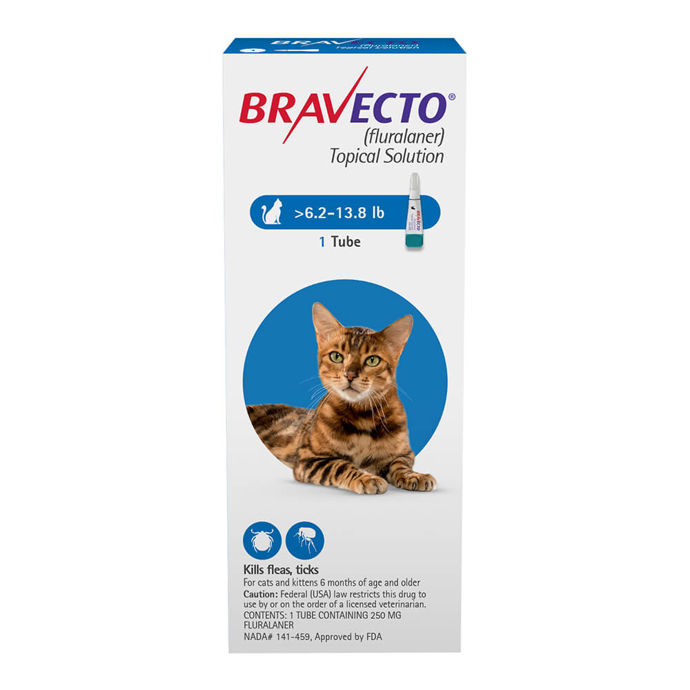Rx Bravecto topical feline 6.2-13.8lbs x 1 tube