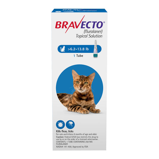 Rx Bravecto topical feline 6.2-13.8lbs x 1 tube