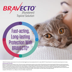 Rx Bravecto Topical for Small Cats  2.6-6.2 lbs