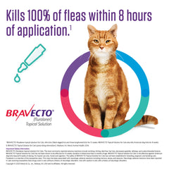 Rx Bravecto topical feline 6.2-13.8lbs x 1 tube