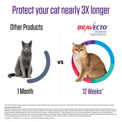 Rx Bravecto topical feline 6.2-13.8lbs x 1 tube