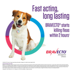 Rx Bravecto 22-44lbs x 1 chew