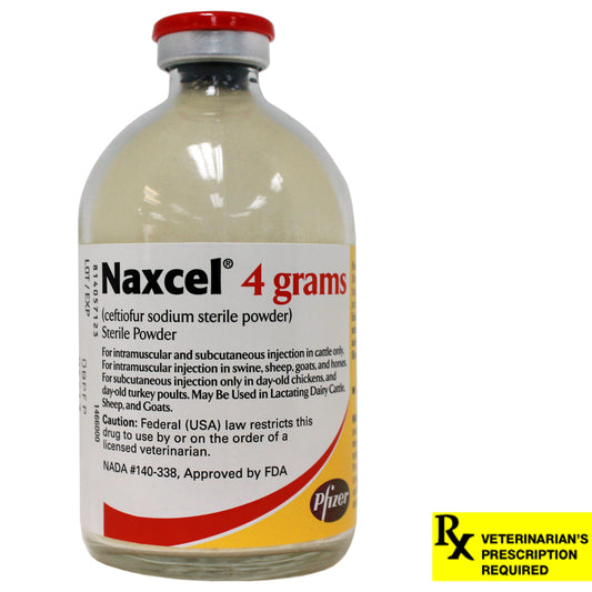 Rx Naxcel 4 gm