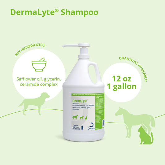 Dermalyte Shampoo Gallon