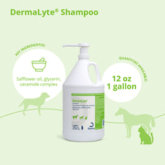 Dermalyte Shampoo Gallon