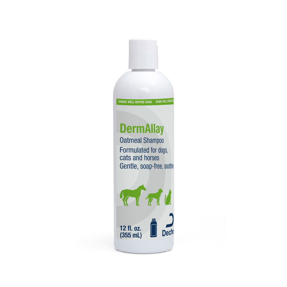 DermAllay Oatmeal Shampoo for Dogs  Cats  and Horses  12 fl oz