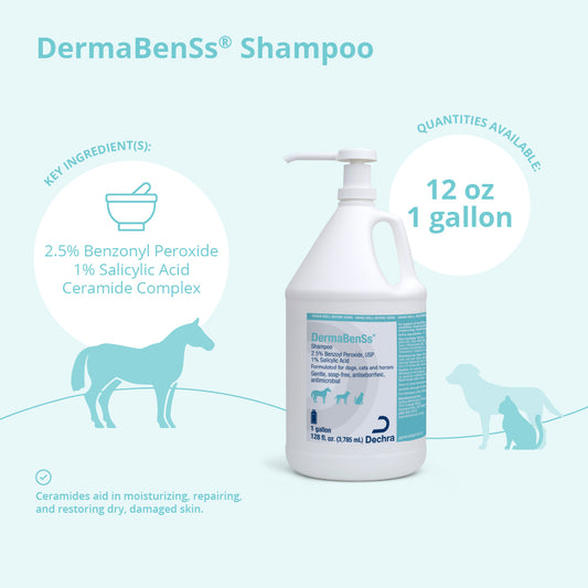 DermaBenSs Shampoo, Gallon