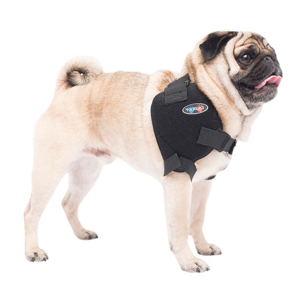 Caldera Pet Therapy Shoulder Wrap with Therapy Gel, Small