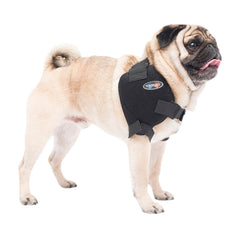 Caldera Pet Therapy Shoulder Wrap with Therapy Gel, Small