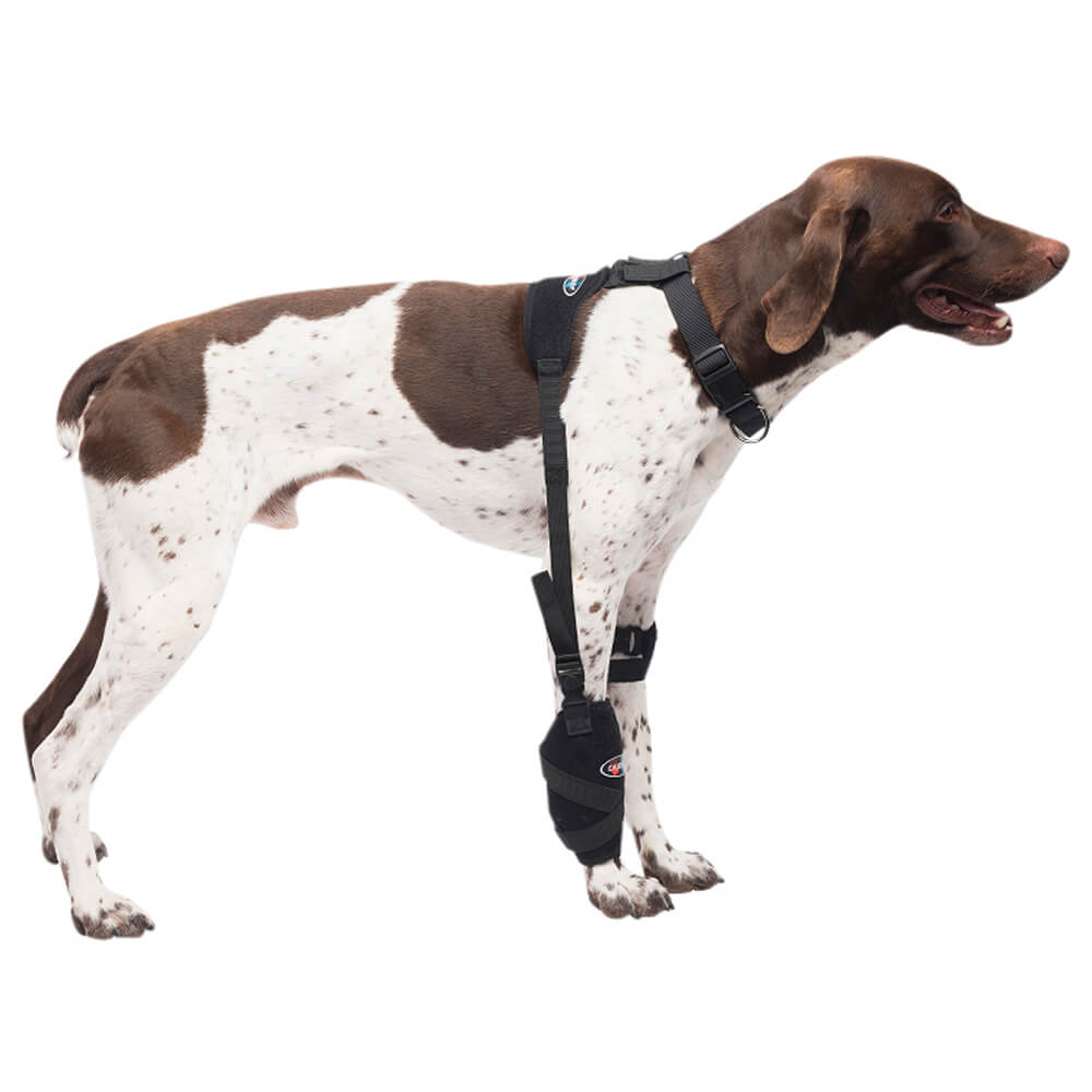 Caldera Pet Universal Therapy Carpal/Elbow Wrap with Therapy Gel, Medium