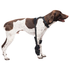 Caldera Pet Universal Therapy Carpal/Elbow Wrap with Therapy Gel, Medium