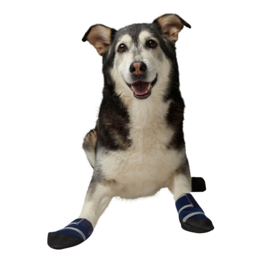 Healers Medical Dog Boots Box Set of 2 boots & 2 Gauze Pads, Small
