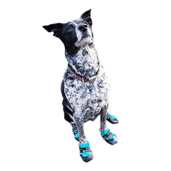 Healers Urban Walker Dog Boots, Pair, Teal, Medium/Large