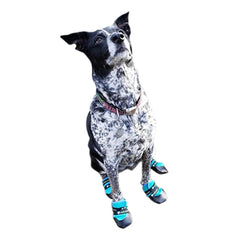 Healers Urban Walker Dog Boots, Pair, Teal, Small