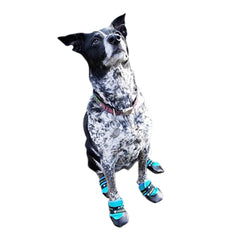 Healers Urban Walker Dog Boots, Pair, Orange, XSmall