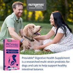 Kit Proviable-KP/DC para perros y gatos pequeños, 15 ml de pasta/10 cápsulas