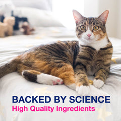 Kit Proviable-KP/DC para perros y gatos pequeños, 15 ml de pasta/10 cápsulas